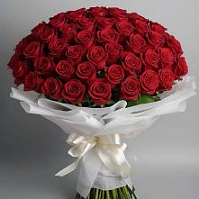 Букет 101 Красная роза Блэк Мэджик в Дудинке