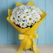 Букет цветов из:  Хризантемы в Дудинке