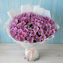 Букет цветов из:  Хризантемы в Дудинке
