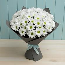 Букет цветов из:  Хризантемы в Дудинке