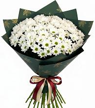 Букет цветов из:  Хризантемы в Дудинке