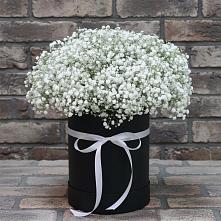 Цветочная композиция из Гипсофила в шляпной коробке в Дудинке