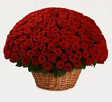 Премиум букет из: Розы в Дудинке