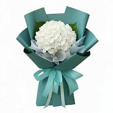 Букет цветов из:  Гортензия в Дудинке